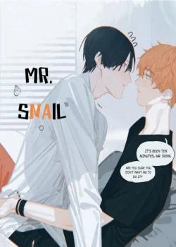 Mr.snail 