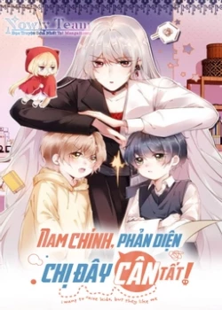 Nam Chính, Phản Diện Chị Đây Cân Tất ?! 